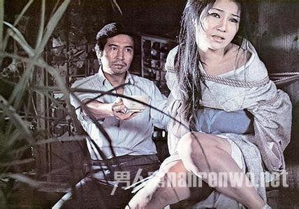 供品夫人在线观看播放,在线观看，揭开神秘面纱的惊悚之旅