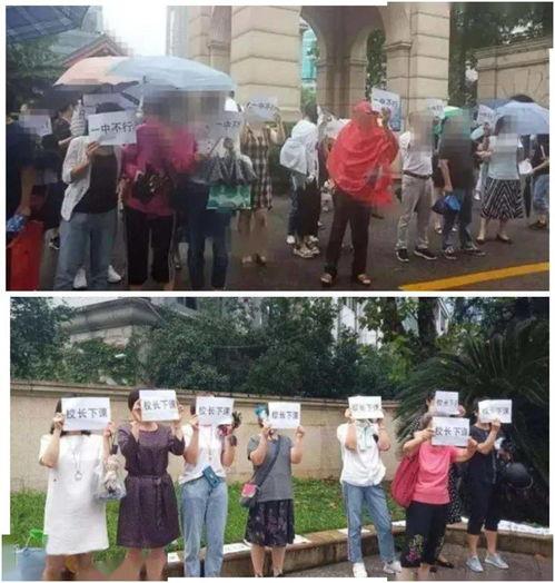 赞皇一中爆料事件视频最新,真相揭开，校园风波再起